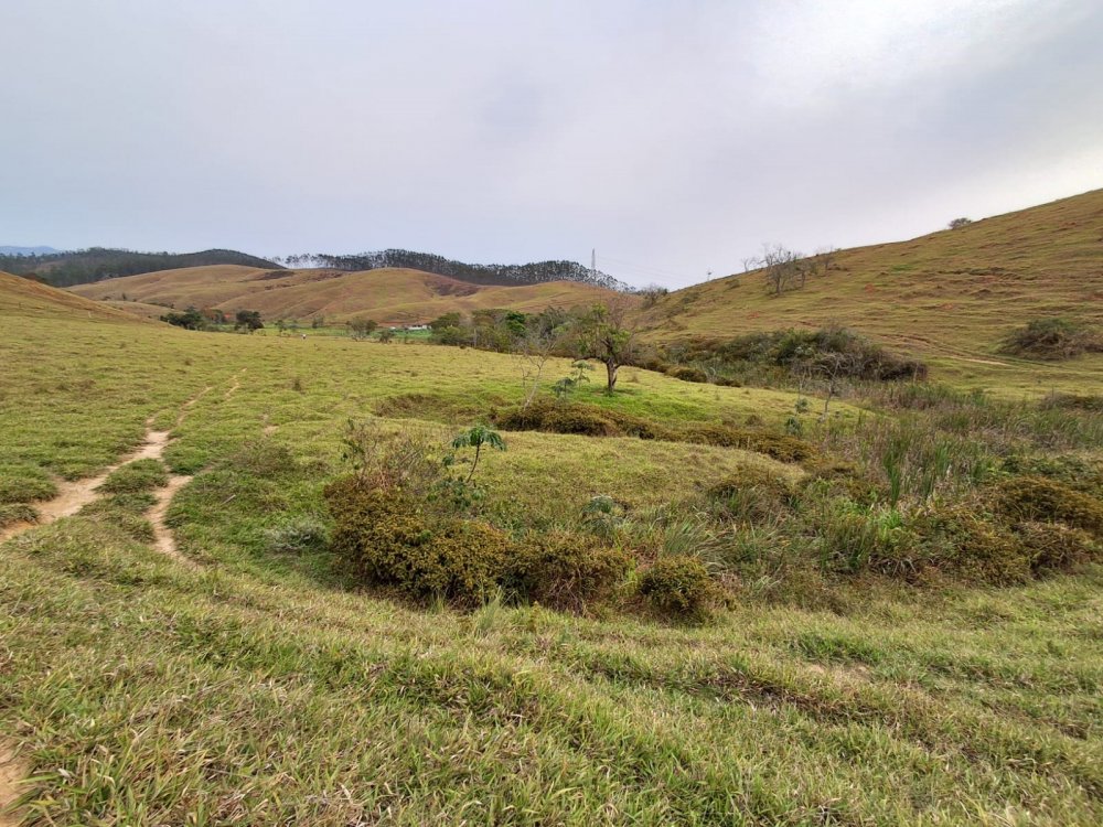 Fazenda - Venda - Centro - Silveiras - SP