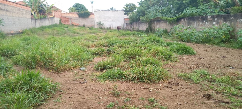 Terreno - Venda - Vila Zélia - Lorena - SP