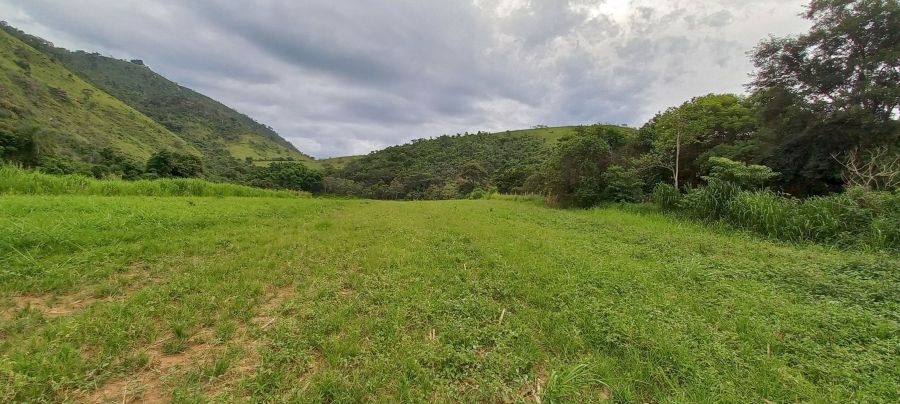 Sítio - Venda - Bairro da Usina - Cachoeira Paulista - SP