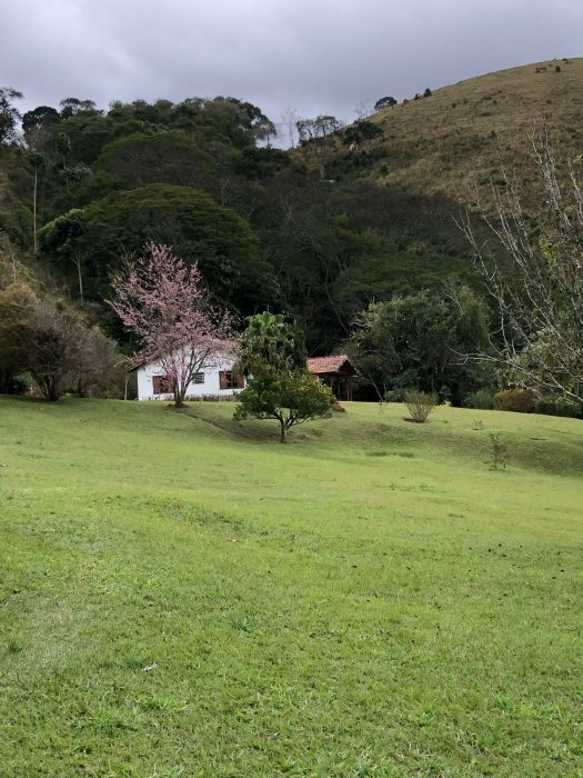 Fazenda - Venda - Bairro do Retiro - Guaratinguetá - SP