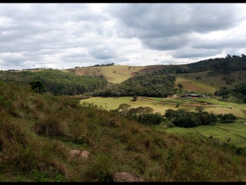 RICA EM ÁGUA, 60% TRATORÁVEL, ALTITUDE MÉDIA 1000m
